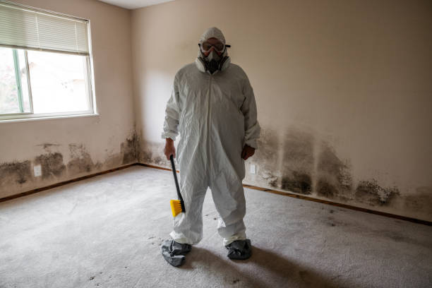 Best Mold Remediation  in Newton, NC